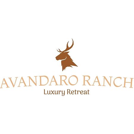 Romantic Luxury Retreat Hot Cold Pool & Sauna Wimberley Exteriér fotografie